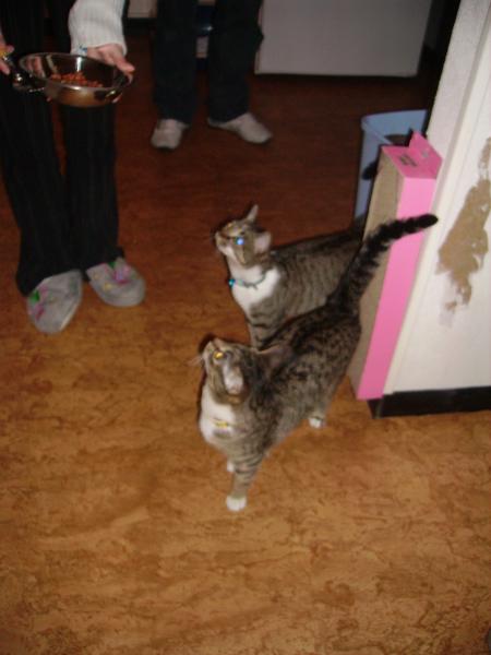Mickette et daisy!!