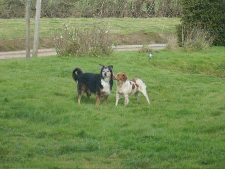 Rocky et betty!!!